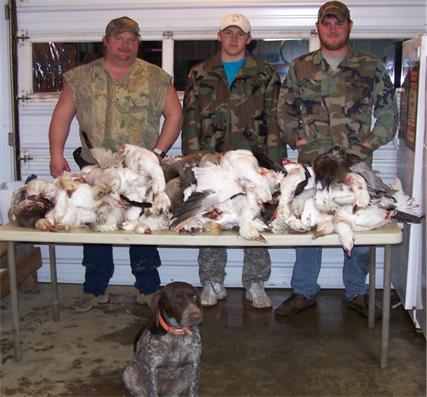 snowgoosehunting